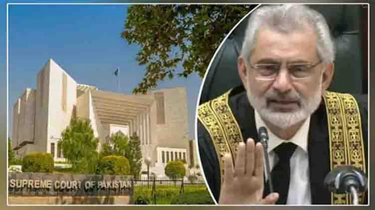 CJP suggests sacking of officials involved in cutting trees