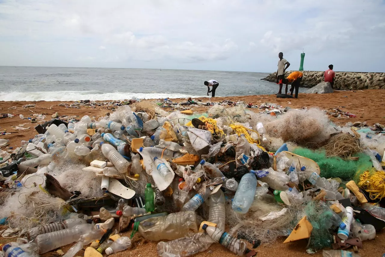 Cada año se vierten más de 52 millones de toneladas de plásticos al medioambiente, según un estudio de ‘Nature’