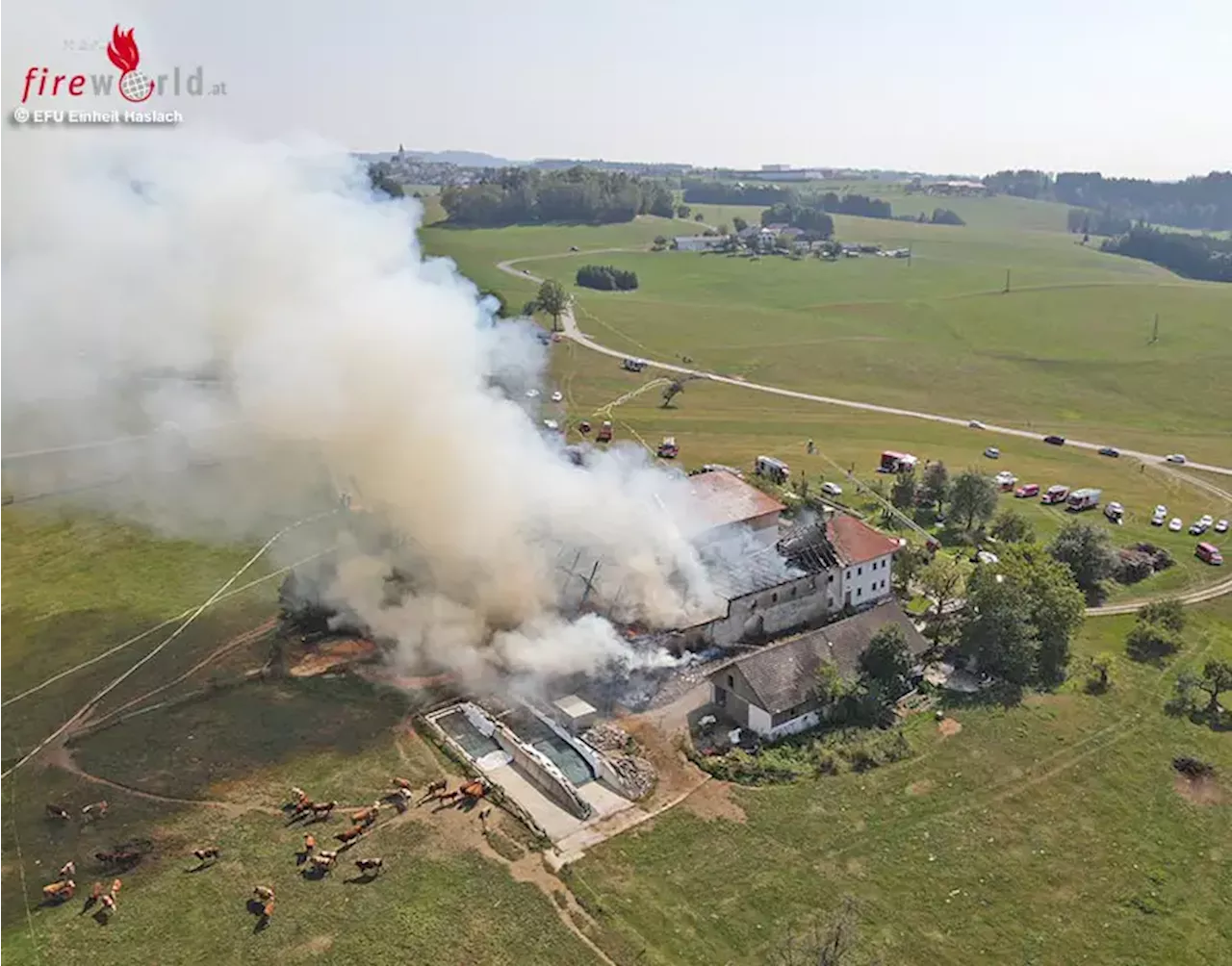 Oö: Wespennest-Bekämpfung mit Feuer als potenzielle Ursache für Alarmstufe III-Brand in Auberg