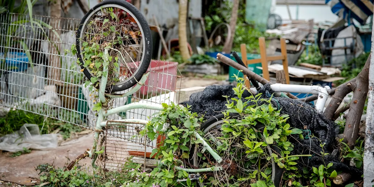 Stört nicht nur die Nachbarn: Was Sie im Garten lagern dürfen