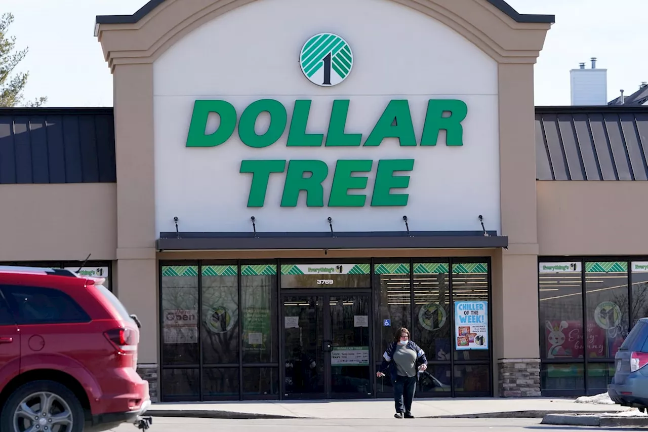 Dollar Tree cuts annual forecasts after dour quarter on weaker demand