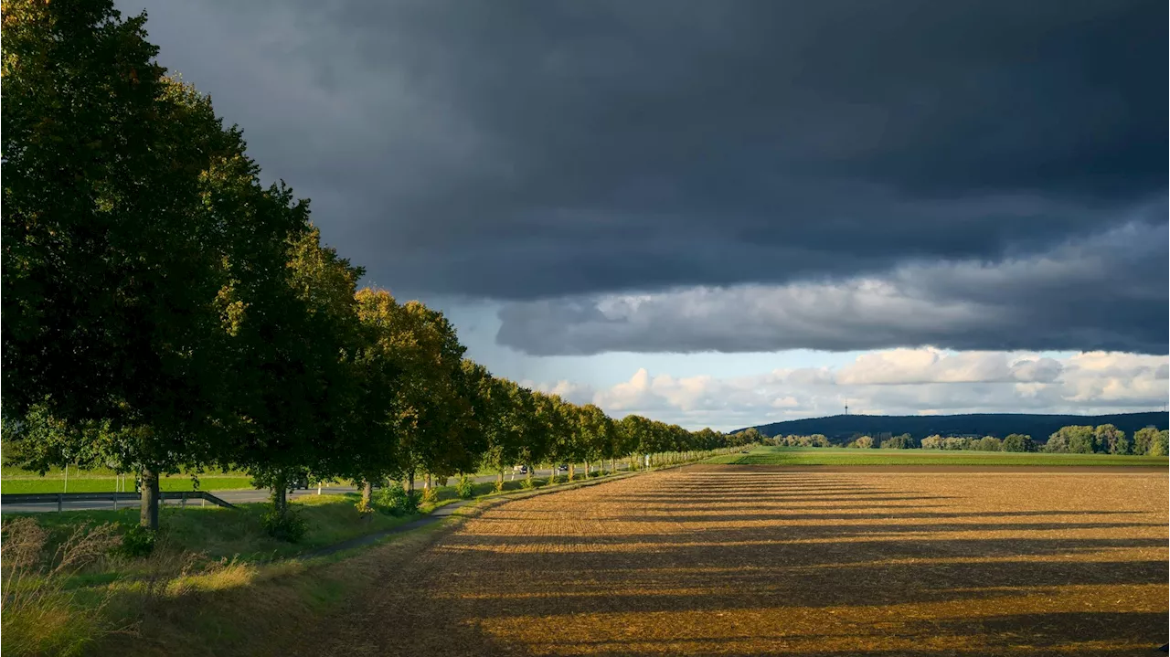 Ende des Hochsommers in Sicht - Hitze-Periode dauert an, doch dann ändert sich alles