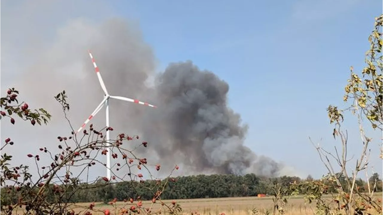  Zigarette wohl Auslöser für verheerenden Waldbrand