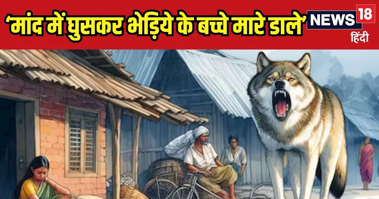 'अपने बच्चों की मौत का बदला ले रहे थे भेड़िये', वन विभाग के एक्सपर्ट ने आदमखोरों की बताई सच्चाई