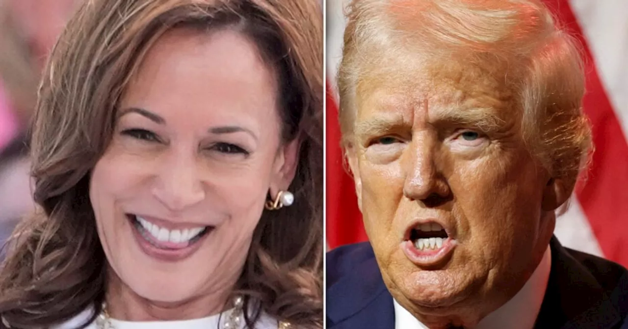 Ex-Obama Strategist Spells Out How Kamala Harris Can 'Jiu Jitsu' Donald Trump In Debate