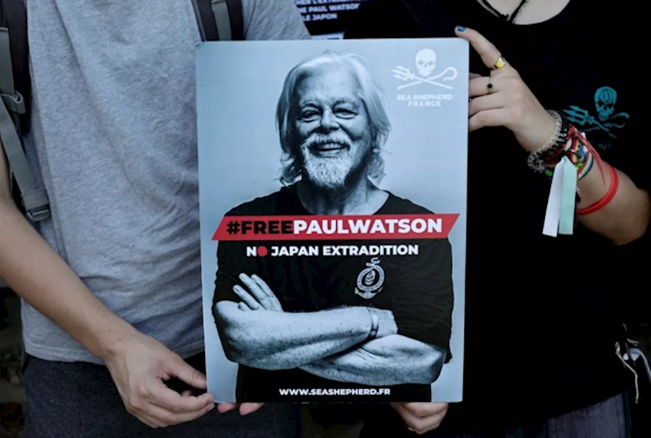 La Groenlandia proroga la detenzione di Paul Watson, l’attivista che difende le balene