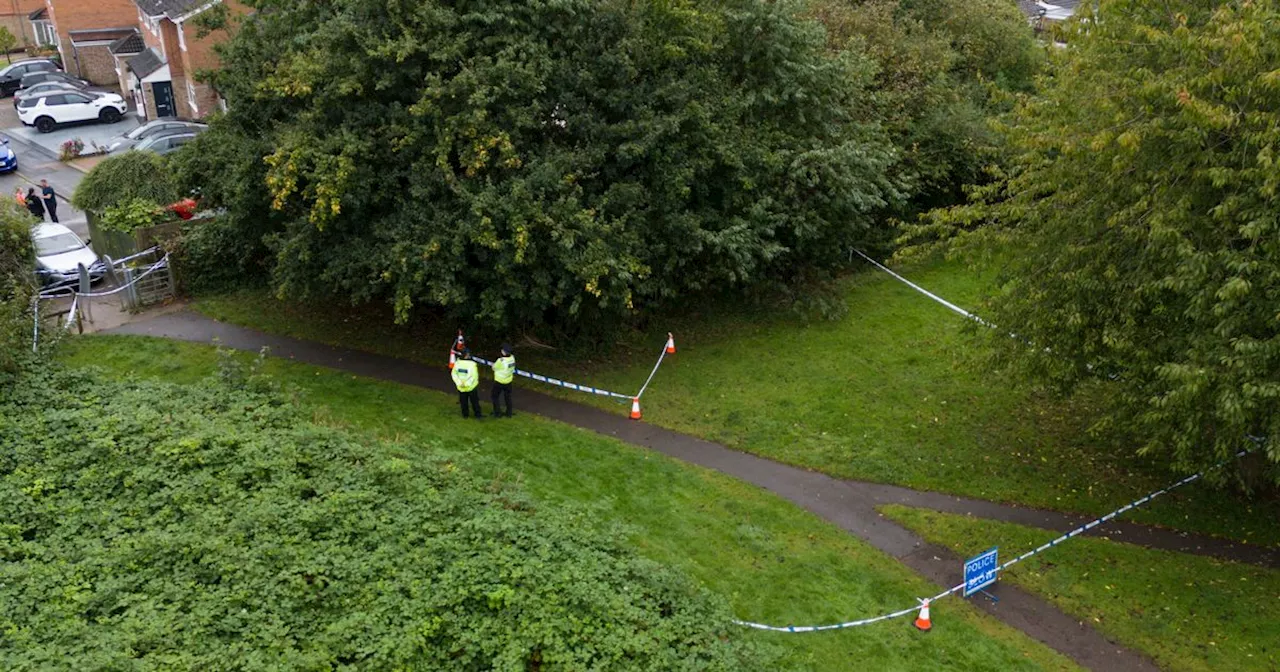 Four children arrested over murder of elderly man walking dog released