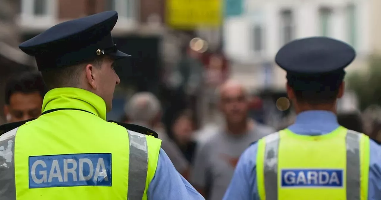 Gardai cancel all leave as specialist officers deployed for Ireland v England