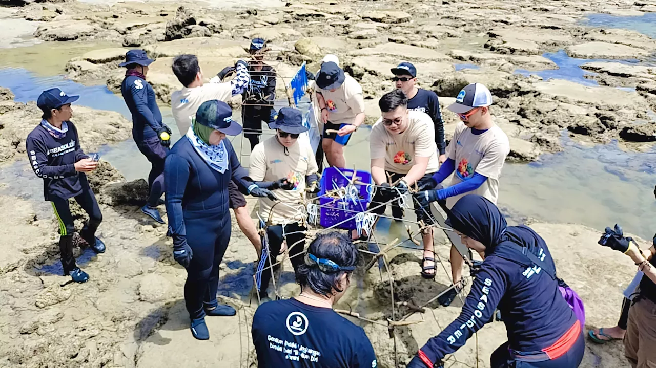 Dorong Kesejahteraan di Pesisir, PNM Peduli Tanam Ribuan Mangrove dan Terumbu Karang