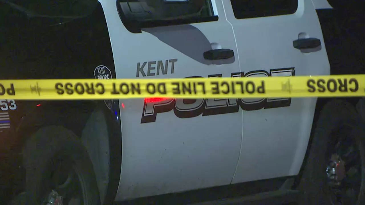 Kent homeowner shoots burglar during early morning break-in