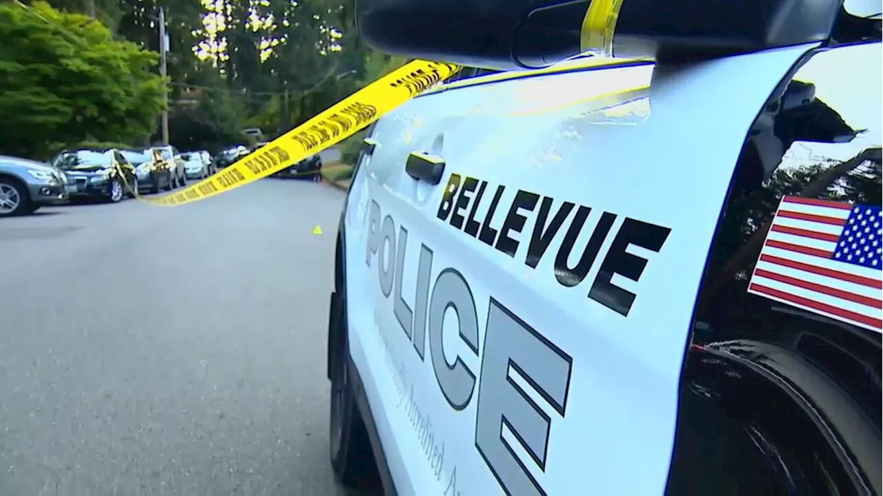 Littering incidents leads Bellevue police to investigation and multiple arrests