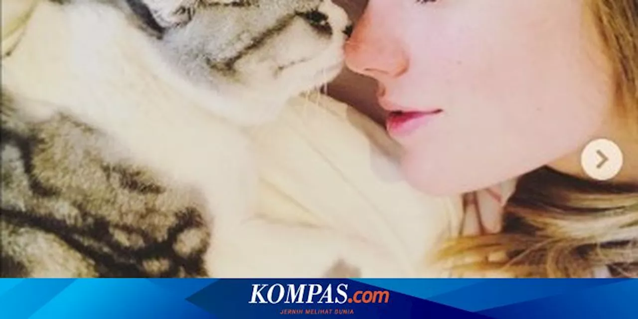 Punya Penghasilan RP 1,5 Triliun, Kucing Taylor Swift Jadi Salah Satu Peliharaan Terkaya di Dunia