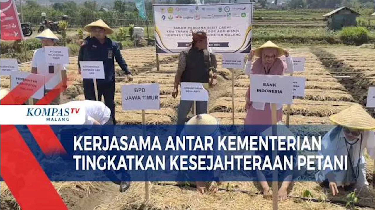 Tingkatkan Kesejahteraan Petani dengan Pertanian Terintegrasi