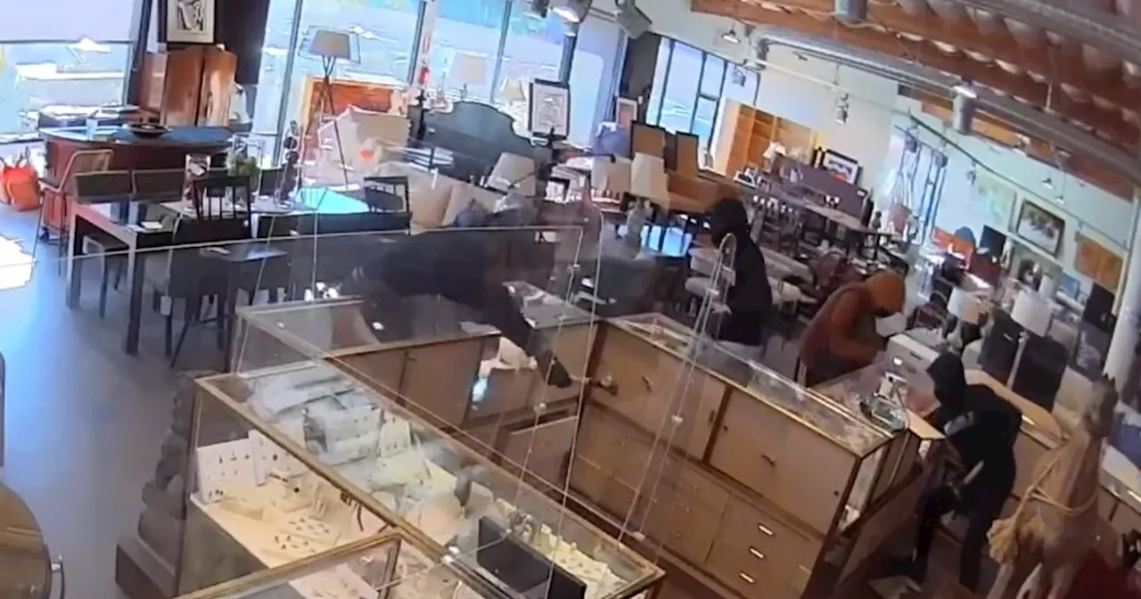 Watch: Suspects smash jewelry cases at San Rafael shop during brazen robbery