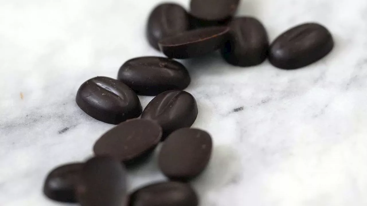 Companies are crafting new ways to grow cocoa to keep up with demand