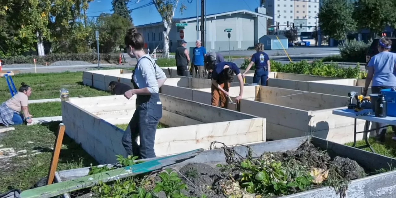 Growing towards a better future with the Community Garden