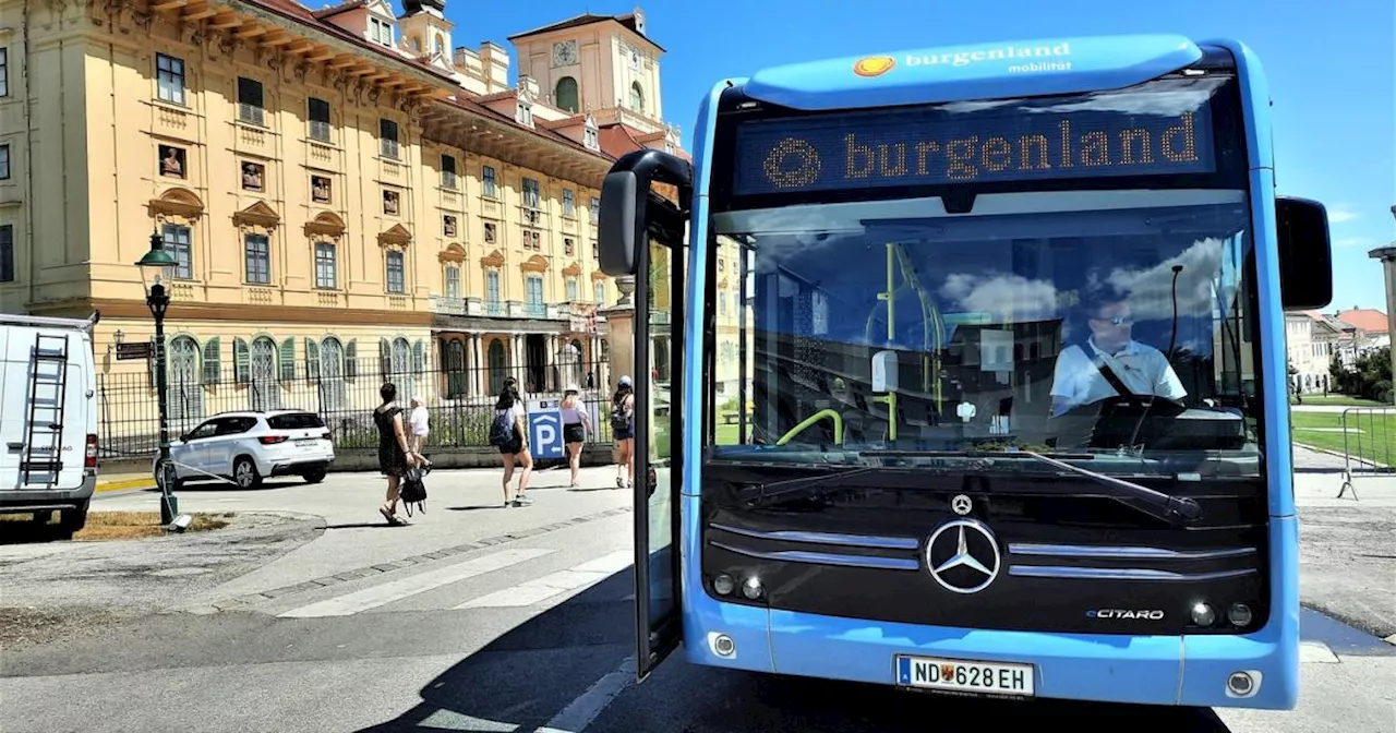 Verkehrsbetriebe Burgenland: Heuer bereits 665.000 Fahrgäste