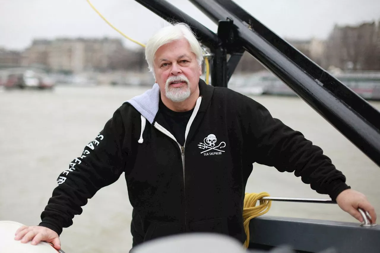 Le capitaine Paul Watson, une vie à protéger l’océan et les baleines