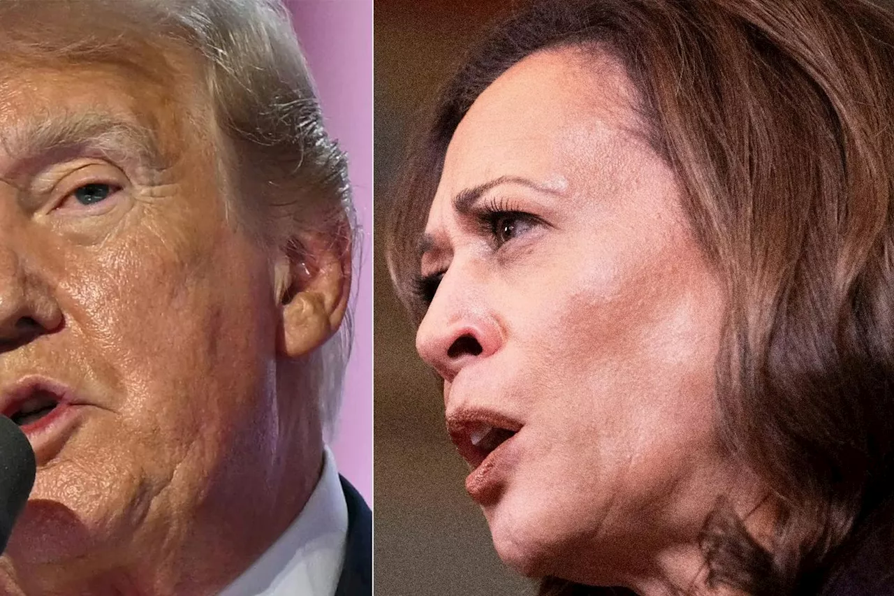 Trump et Harris au coude-à-coude dans trois Etats-clés