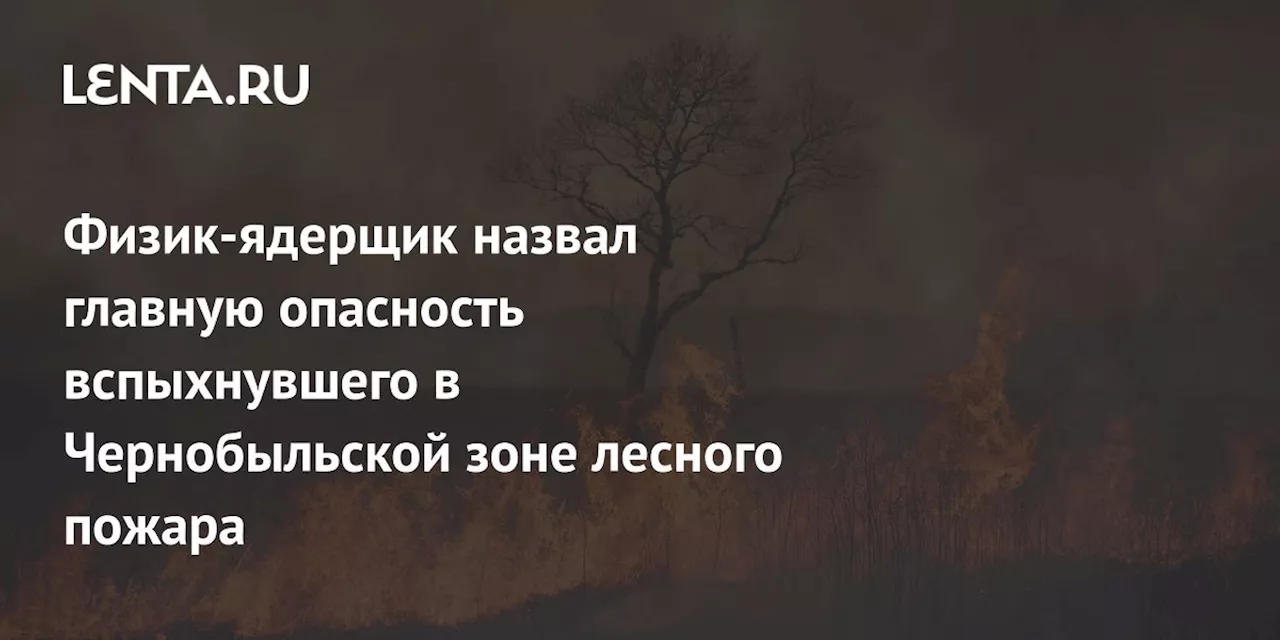 Физик-ядерщик назвал главную опасность вспыхнувшего в Чернобыльской зоне лесного пожара