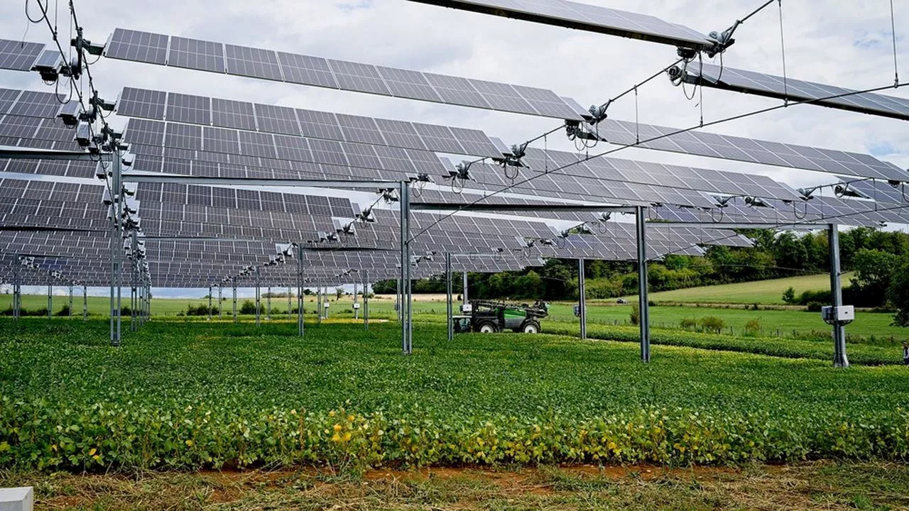 Agrivoltaïsme : 200 hectares de panneaux autorisés dans les Landes