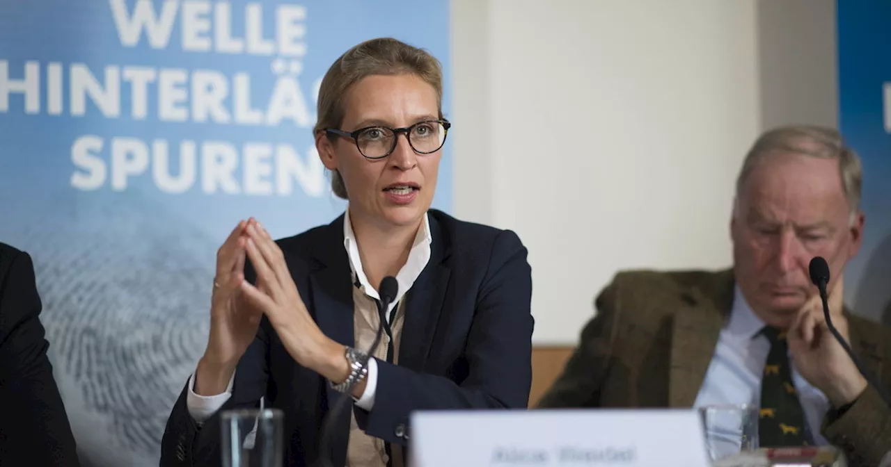 Germania, l&#039;avvertimento di Alice Weidel: &#034;La Dexit resta un&#039;opzione&#034;