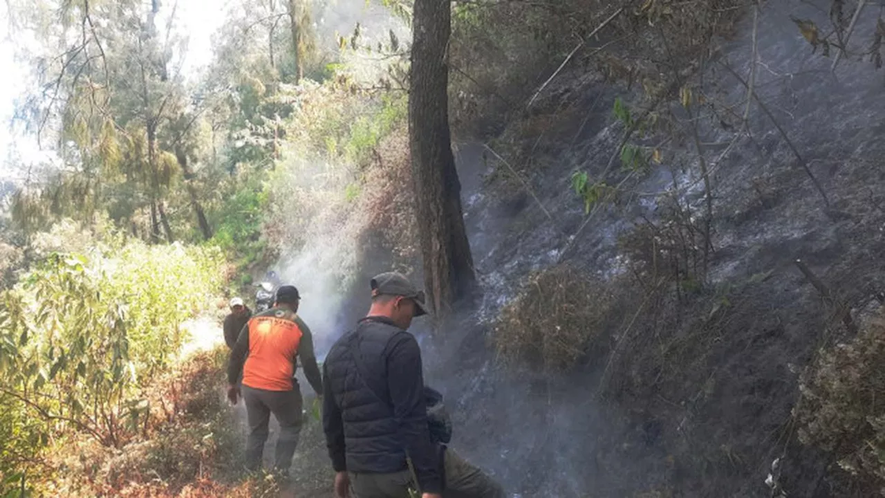 Karhutla Kembali Landa Kawasan Gunung Bromo, Petugas Gabungan Dikerahkan untuk Pemadaman