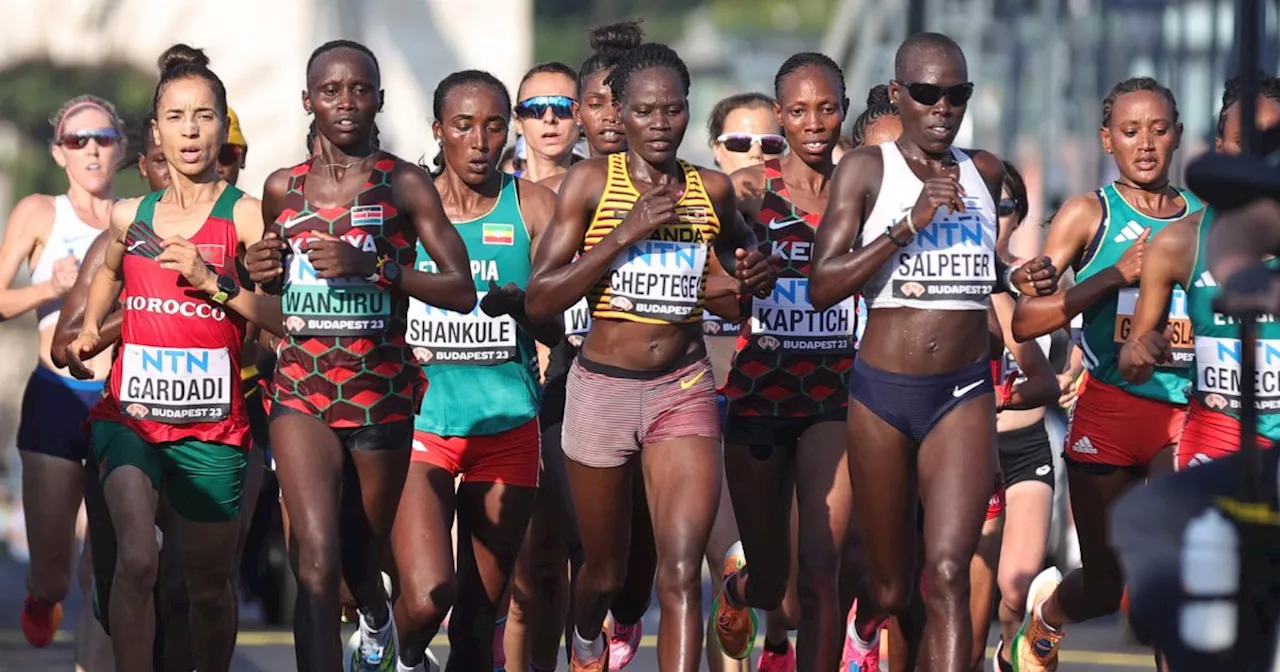 Une athlète olympique brûlée vive par son compagnon quelques jours après les JO de Paris