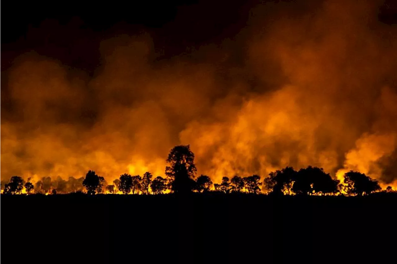 Sumatra Kebanjiran Titik Panas yang Diduga Kuat Karhutla