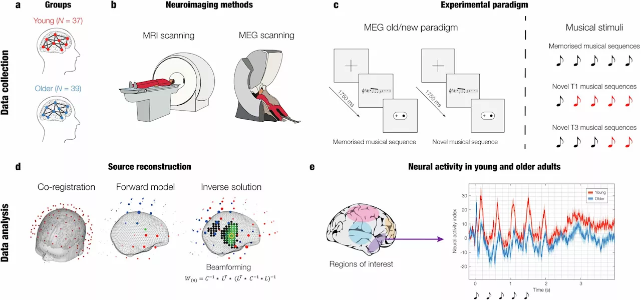 Music can reveal which areas of the brain are affected by aging