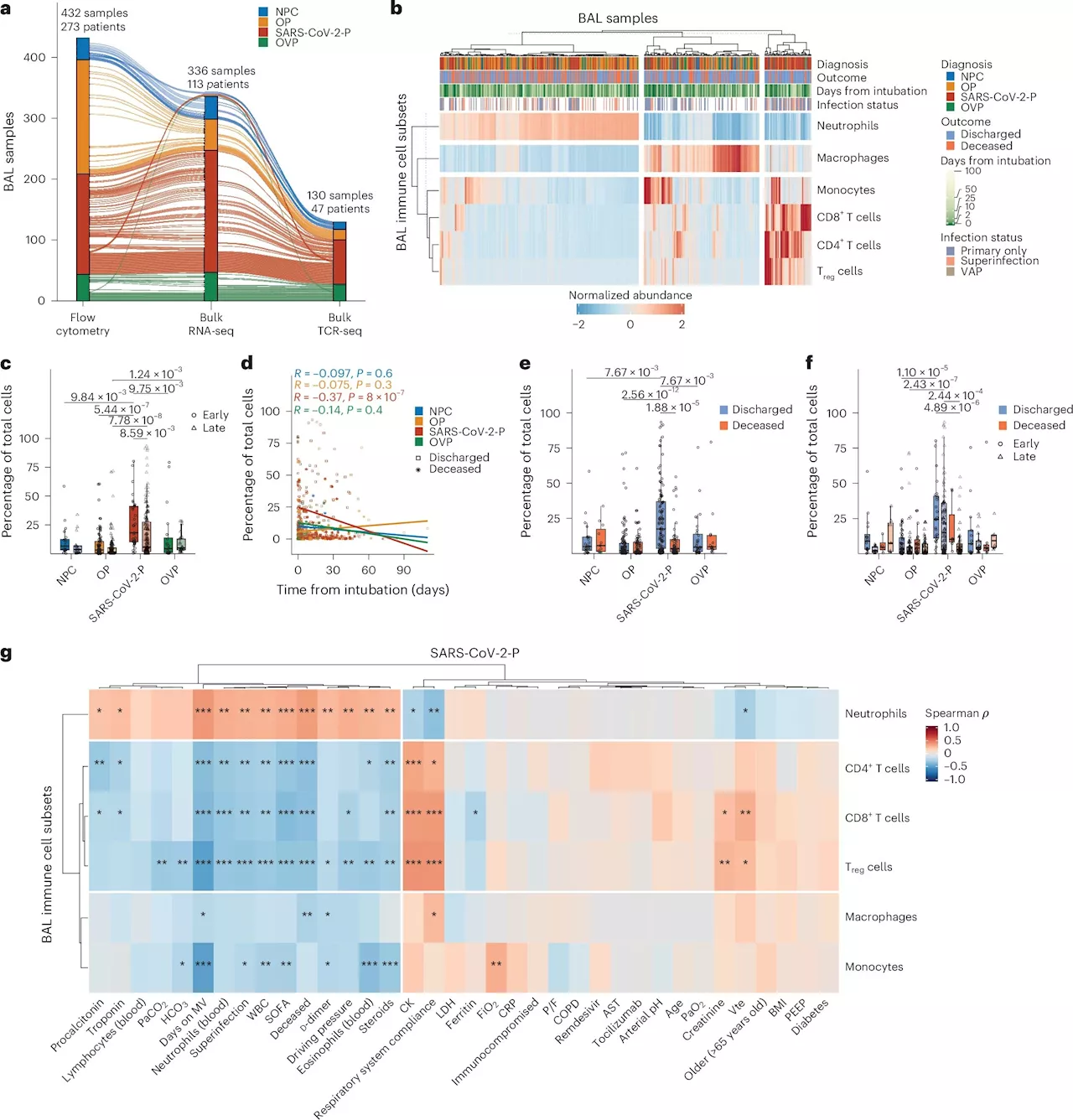 T-cell responses influence patient outcomes in SARS-CoV-2 pneumonia, study finds