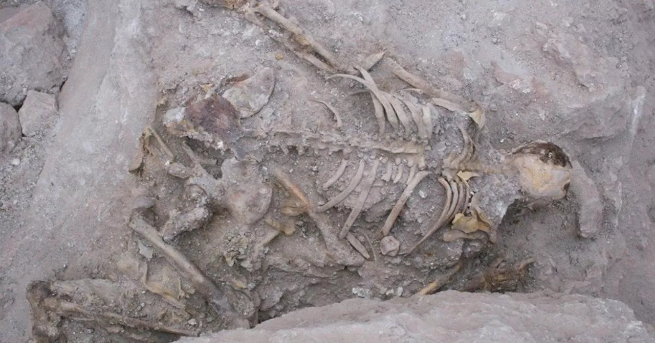 Final screams of mummified miners frozen in time for 2,500 years