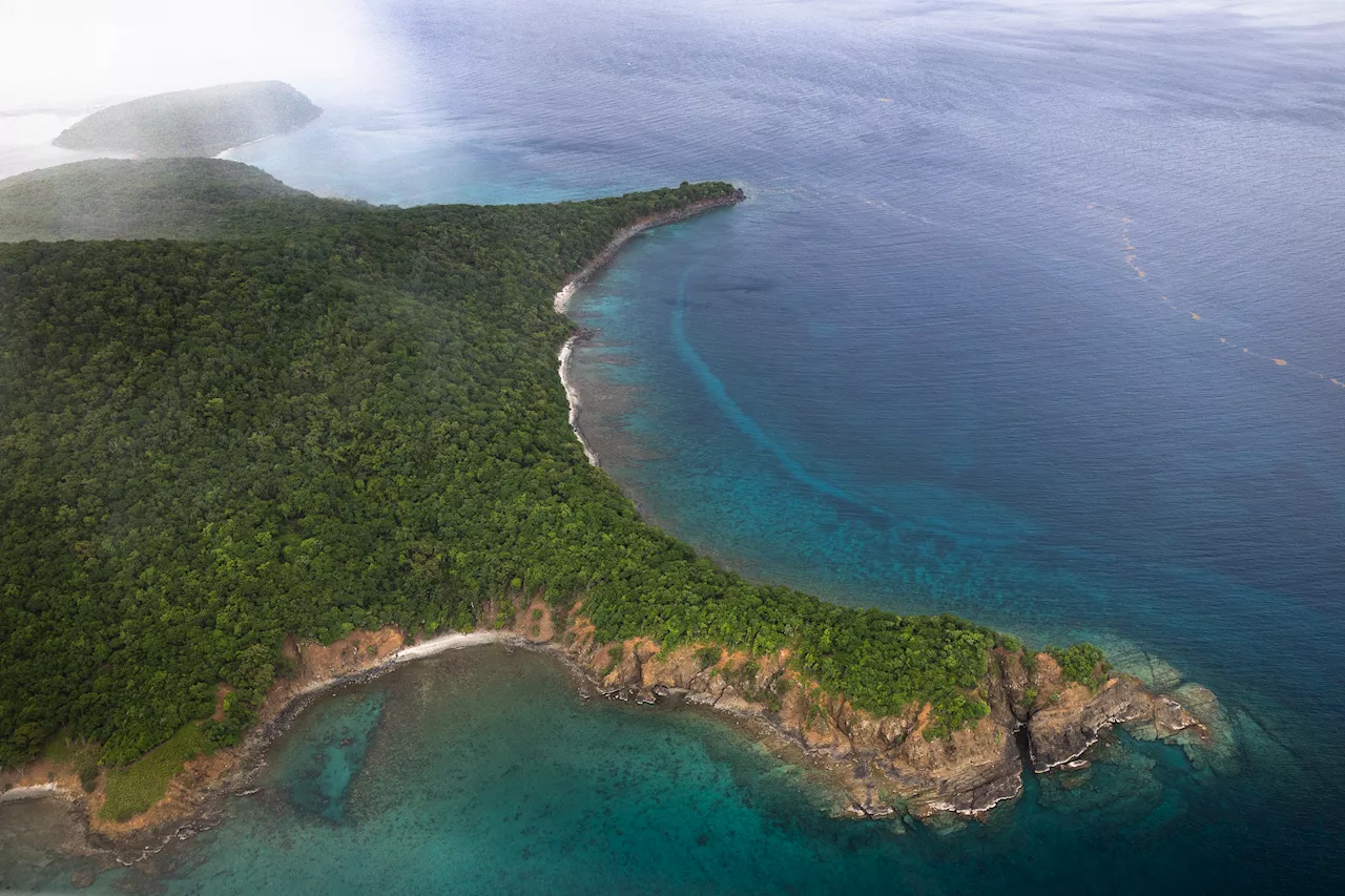 Proyecto de la NASA en Puerto Rico capacita a estudiantes en biología marina