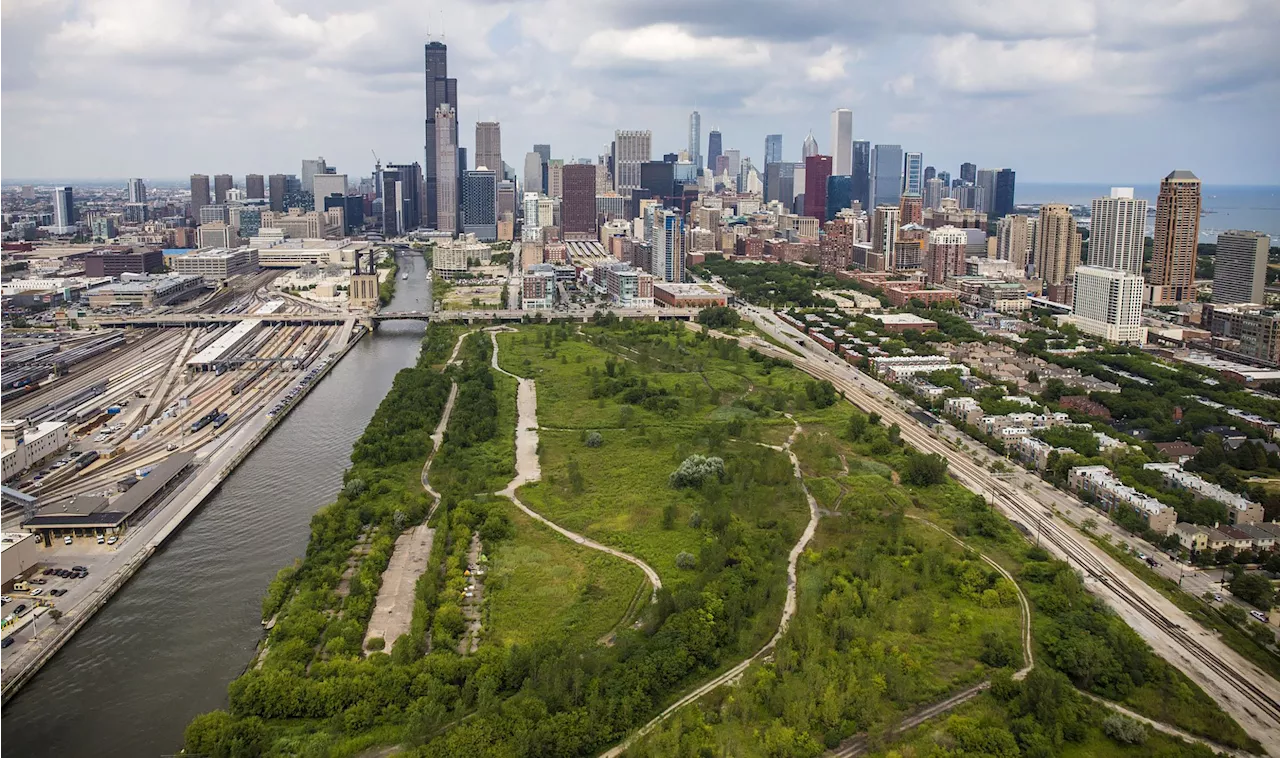 Baseball diamond installed at proposed White Sox stadium site in South Loop