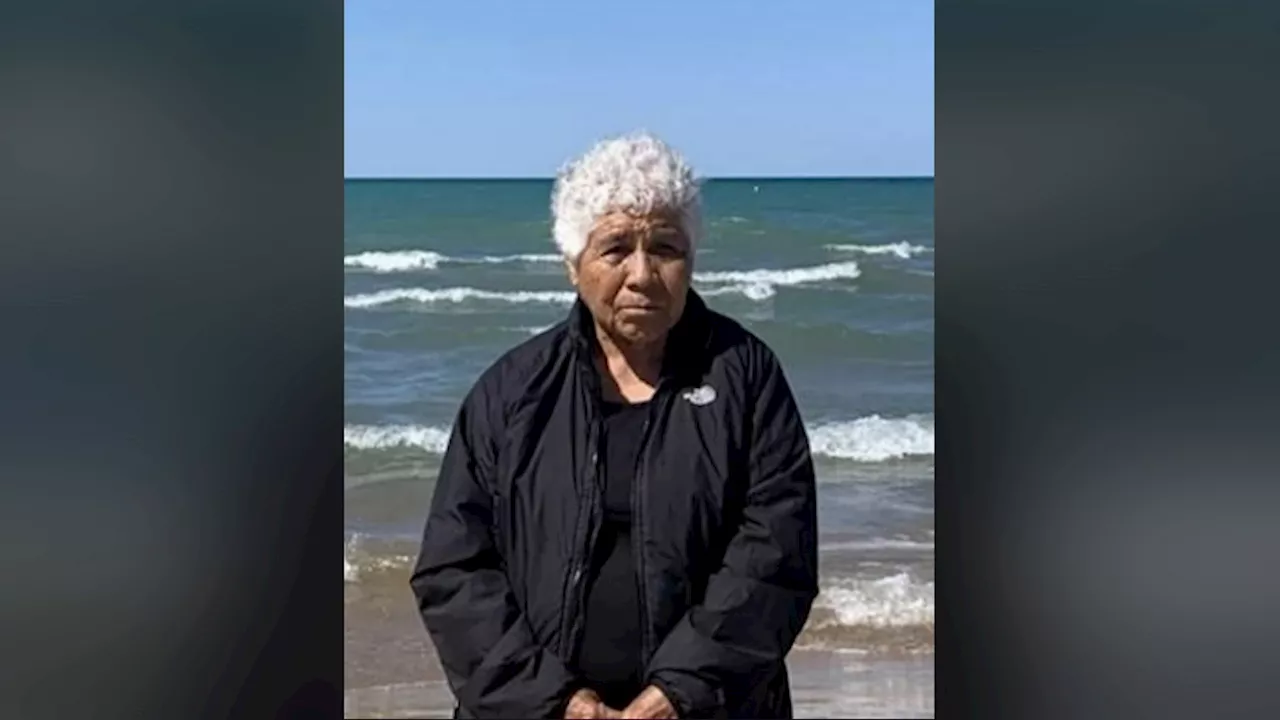 Family pleads for answers with grandmother missing from Chicago's Far Southwest Side