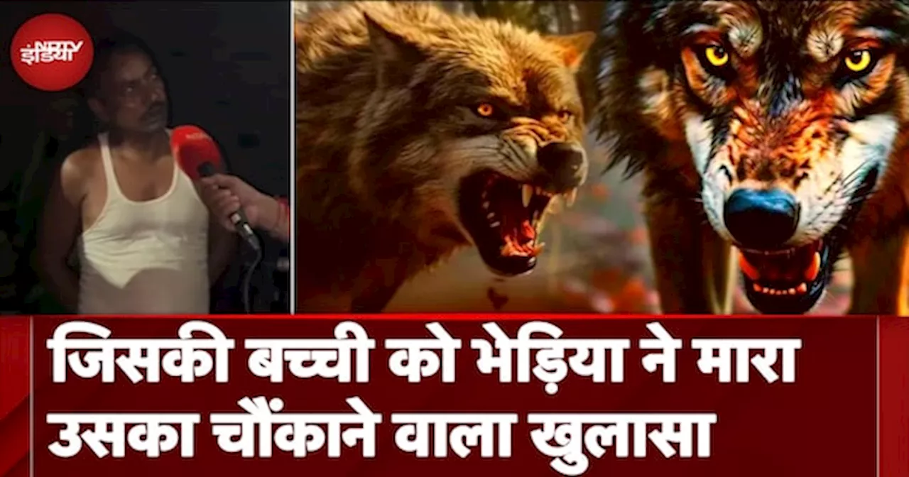 Bahraich Wolf Attack में ऐसी कौन सी नई थ्योरी आ गई है जिससे भेड़िये की तलाश का मामला उलझ गया है?