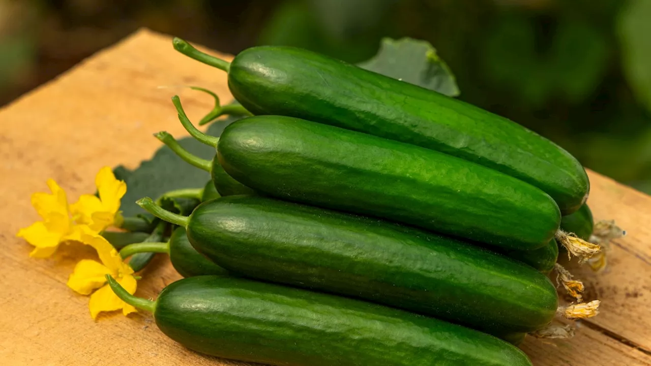 This way of cooking courgettes is one of the best to try in September