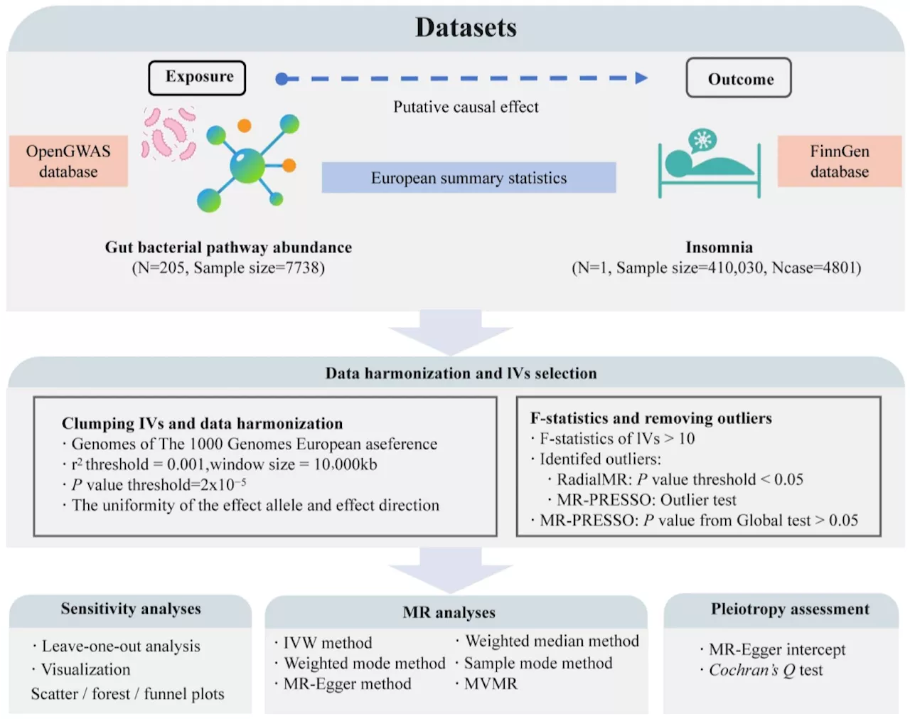 Gut bacteria pathways directly linked to insomnia risk identified