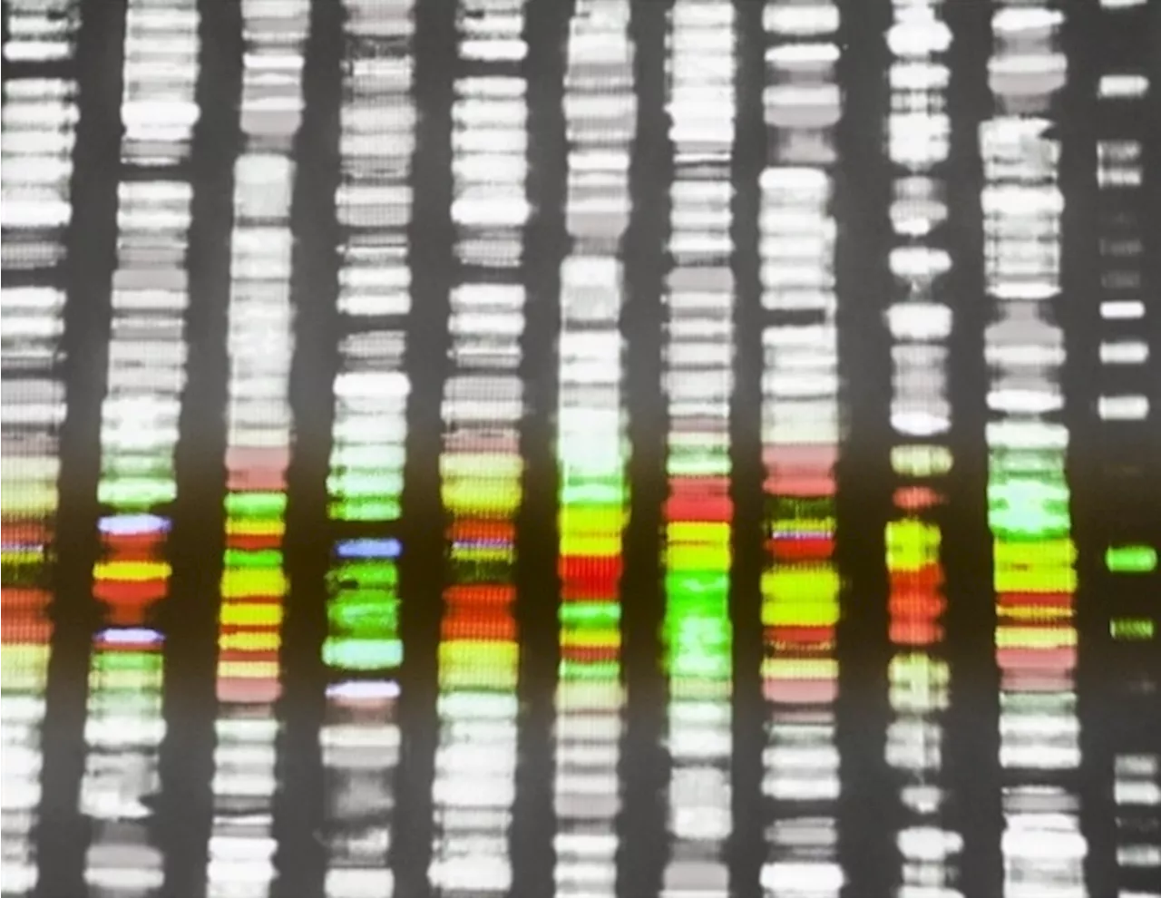 NIH funds study on complex evolutionary adaptation in human DNA