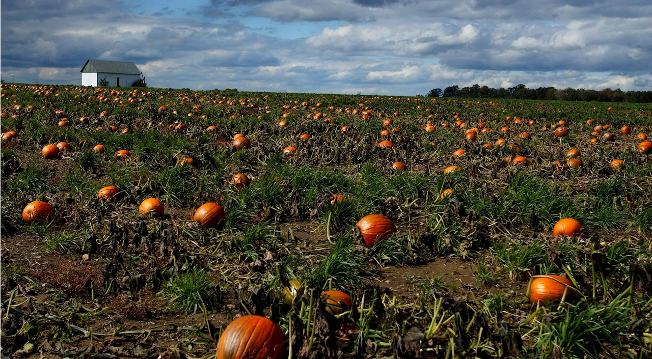 22 Ohio Counties Designated as Natural Disaster Areas Due to Major Drought