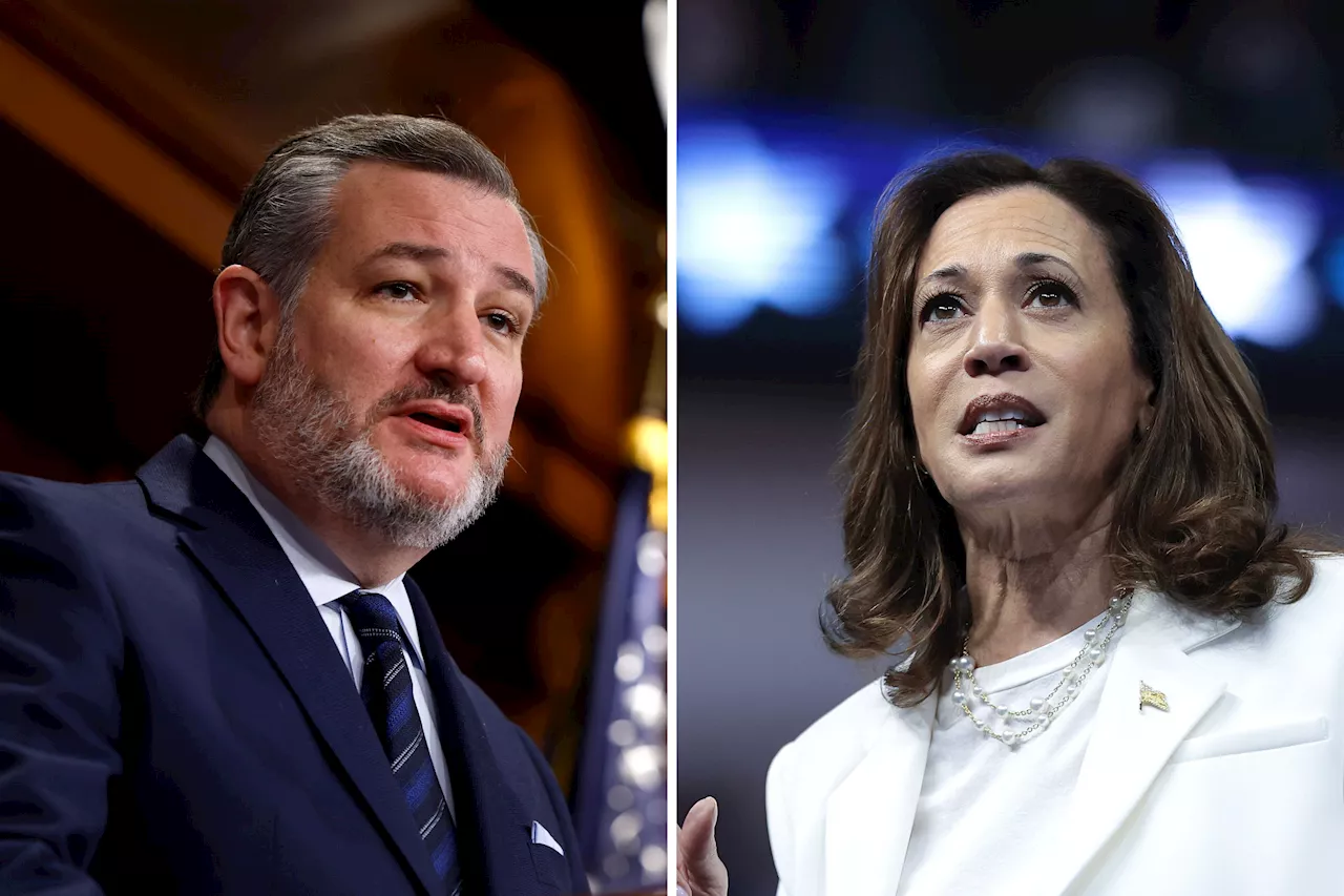 Kamala Harris Guilty Of 'Ignoring' Fallen Soldiers: Ted Cruz