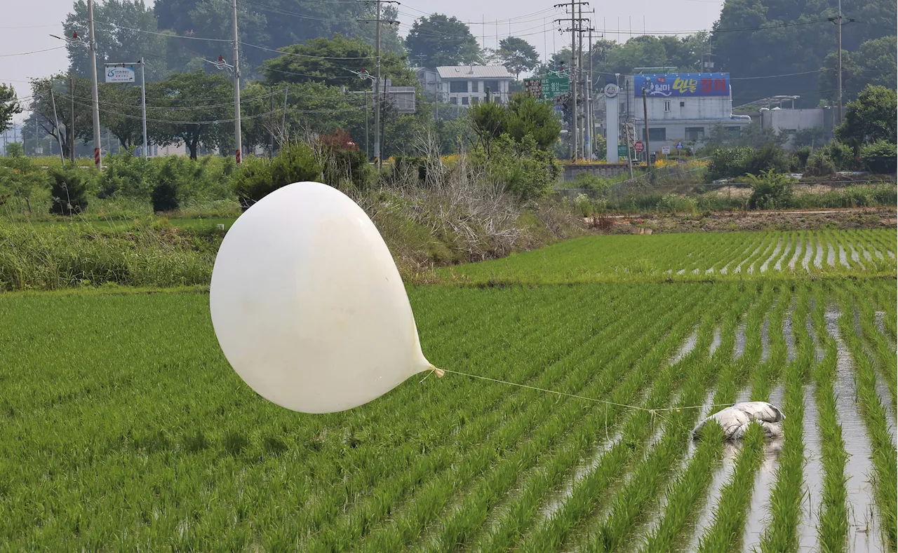 North Korea Launches 'Trash Balloons' Toward South: Reports