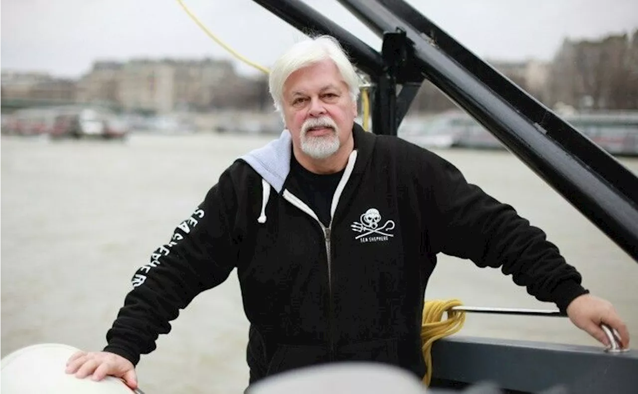 Le défenseur des baleines Paul Watson fixé sur la prolongation de sa détention au Groenland