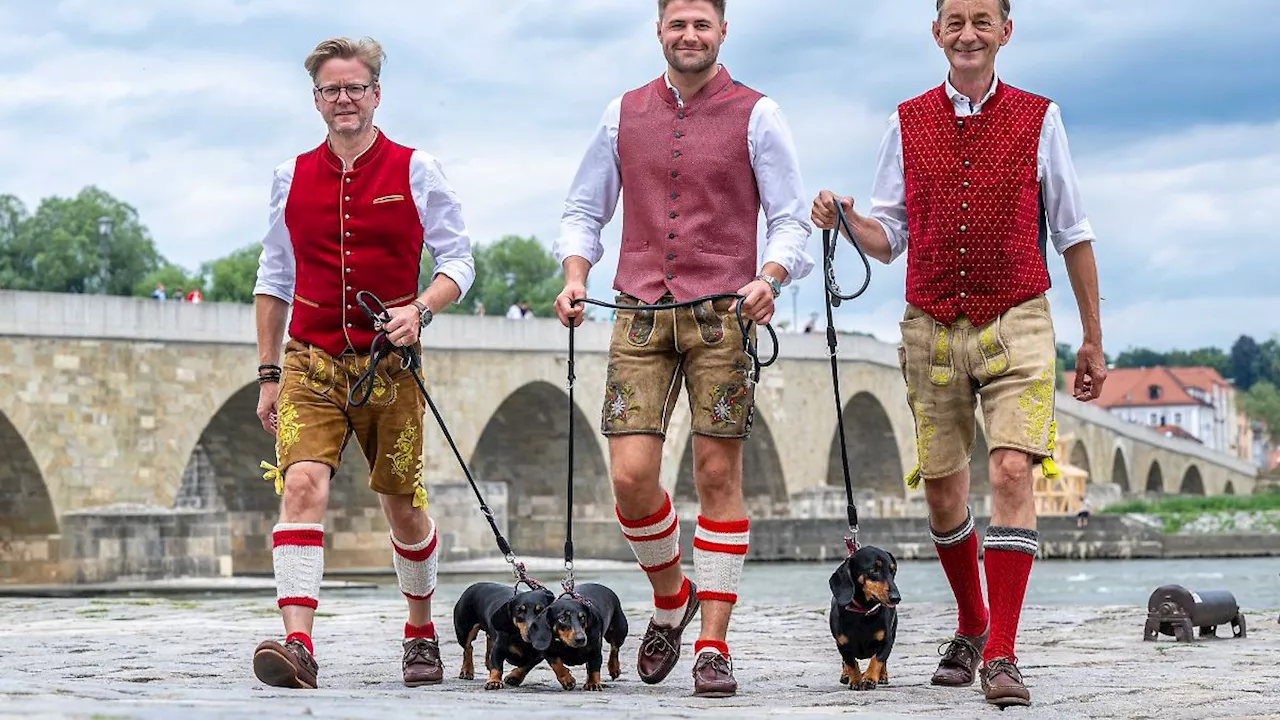 Bayern: Weltgrößte Dackelparade in Regensburg erwartet