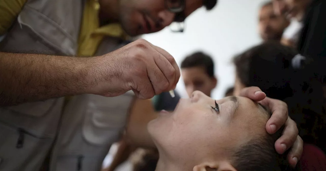 WHO: Bislang 187.000 Kinder in Gaza gegen Polio geimpft