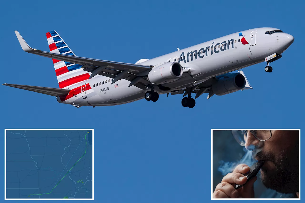 American Airlines flight diverted after first class passenger starts openly vaping: report