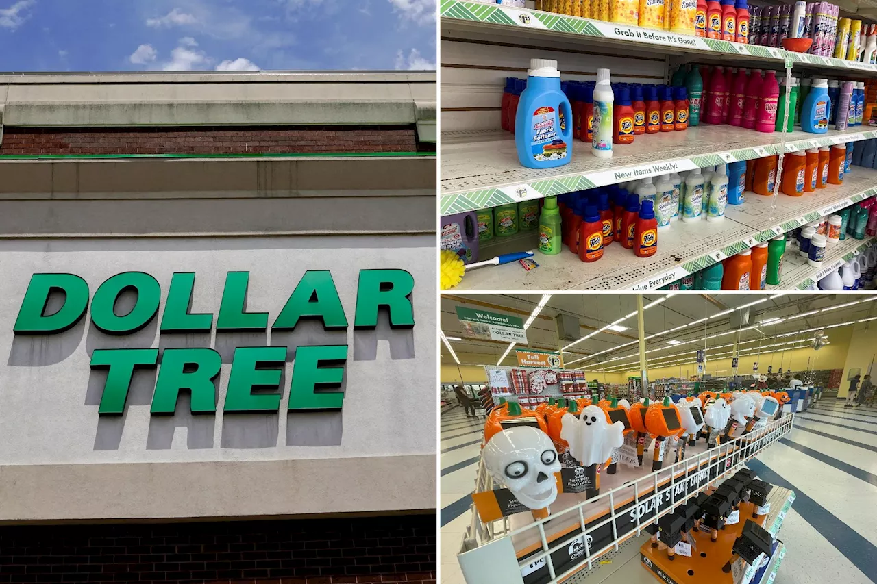 Dollar Tree stock falls 20% after cutting forecasts amid stubborn inflation