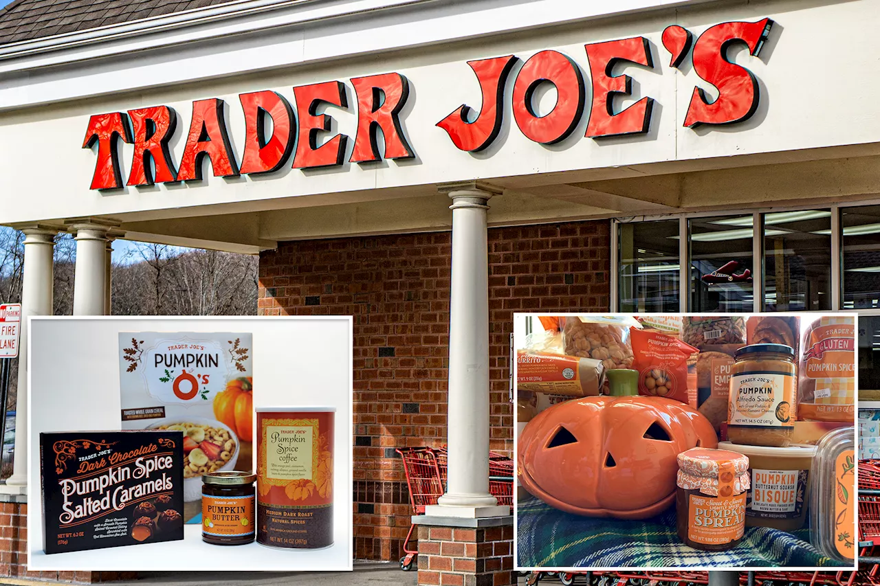 How to taste-test Trader Joe's pumpkin spice products and get paid for it