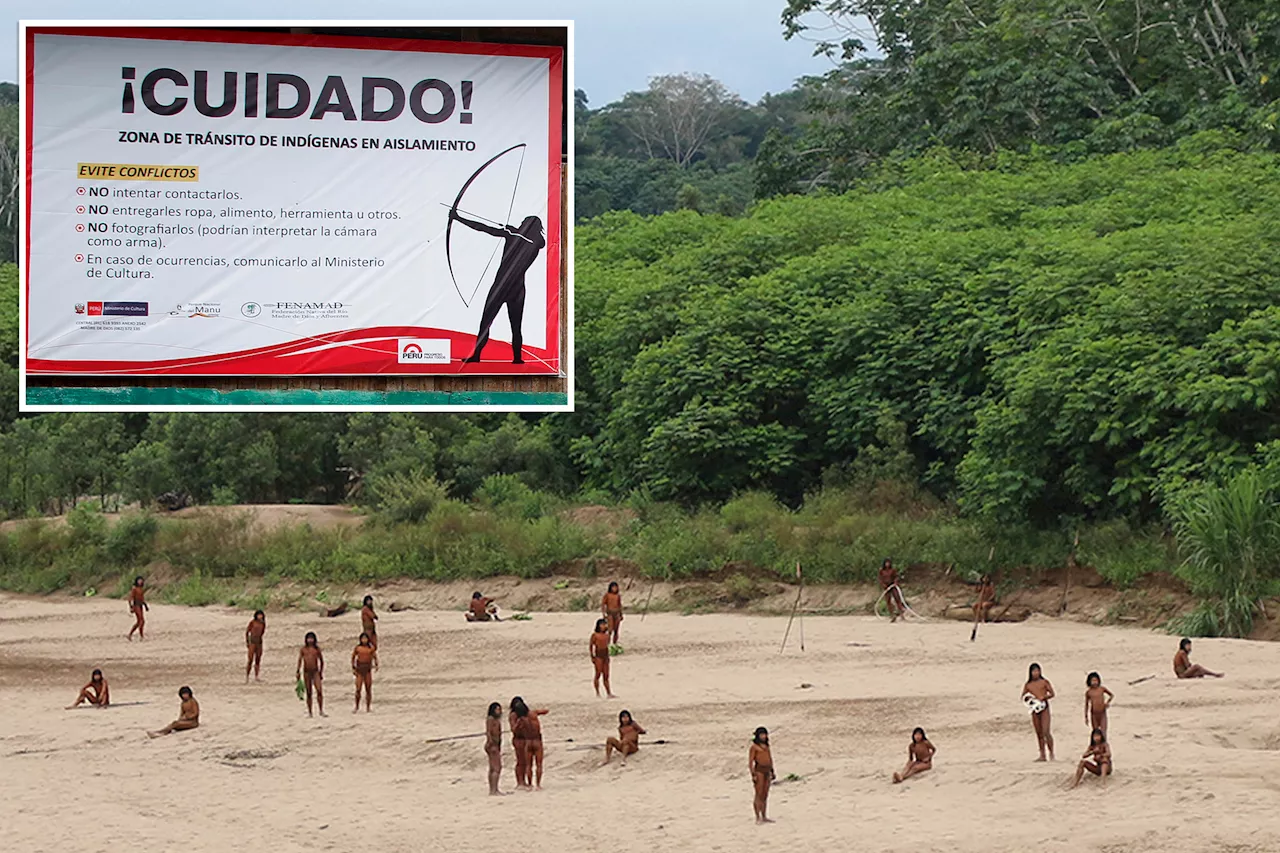 World's largest isolated tribe kills two loggers with arrows in Amazon forest