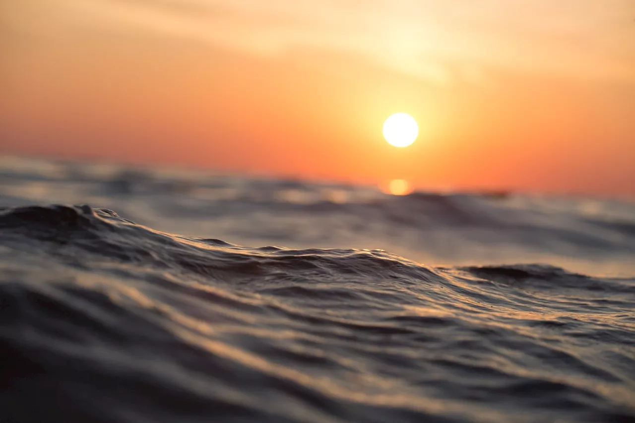 Scientists uncover diverse marine microbes with potential for new antibiotics and plastic breakdown